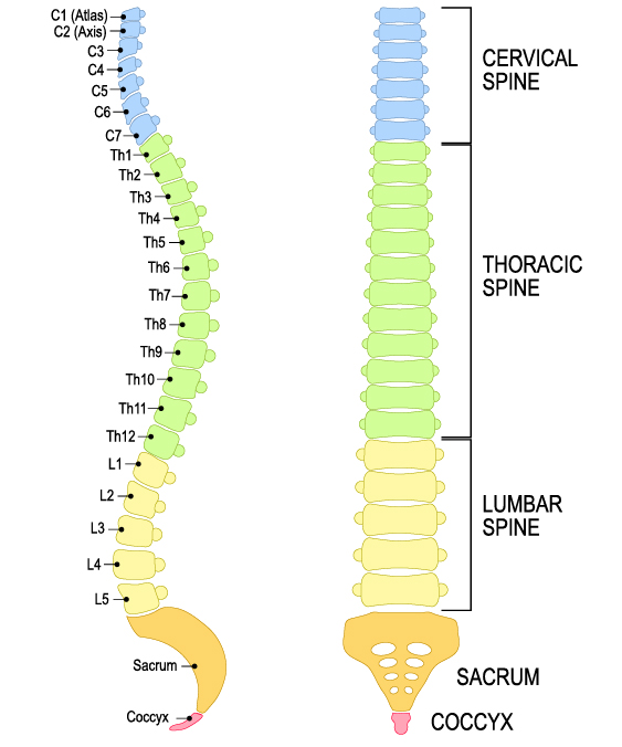 Forms of tetraplegia Forms of tetraplegia
