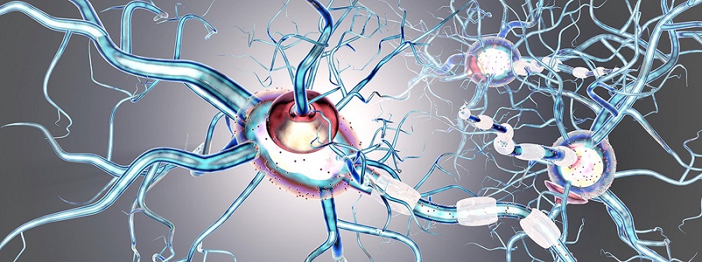 Multiple Sklerose (MS) - Symptome, Verlauf, Diagnose, ... | STIWELL