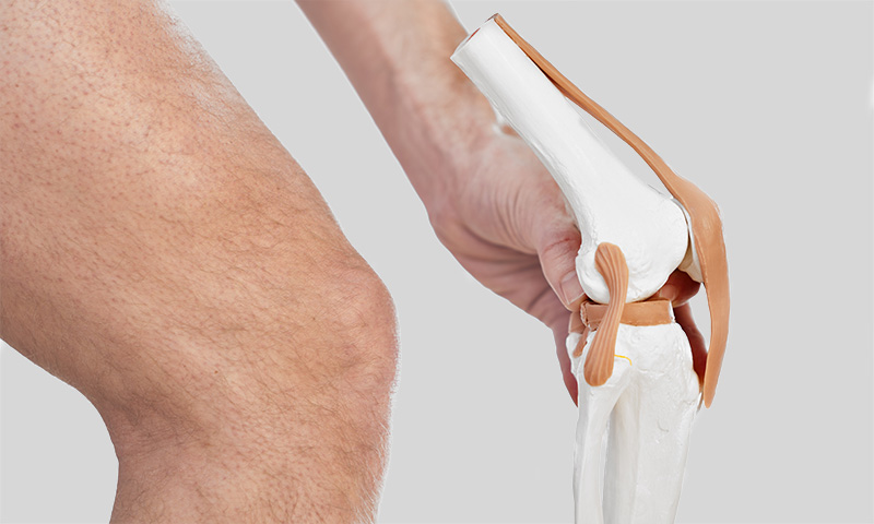 What is a meniscus rupture? What is a meniscus rupture?